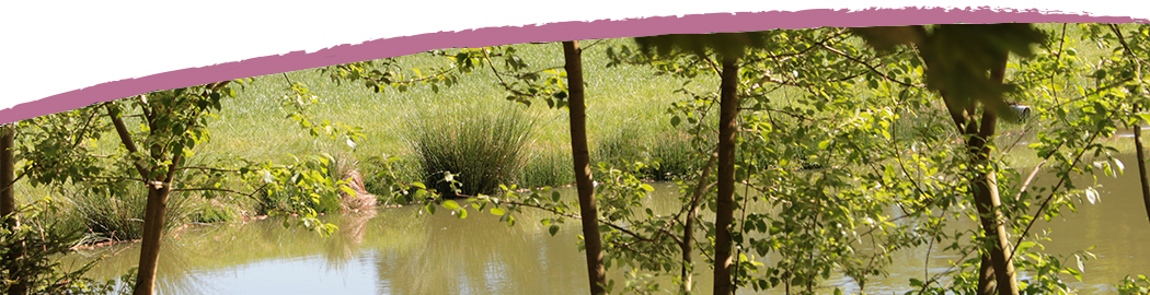 Erholung in der Natur